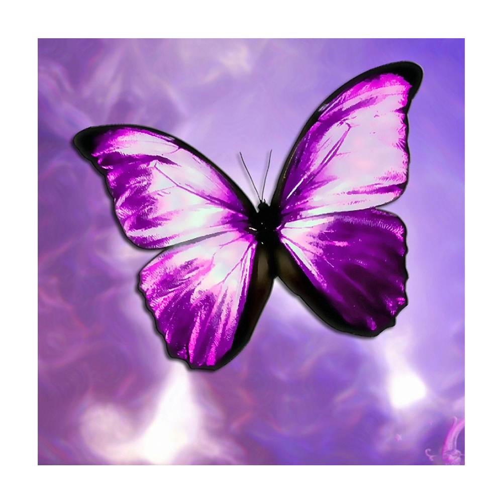 

30*30CM - Round Drill Diamond Painting - Butterfly, 501 Original