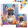Bouledogue-Carré Diamant Peinture-45*55CM