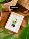 12pcs Mini Square Diamond Painting-Houseplants