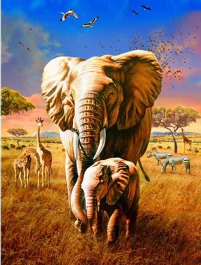 Animal Elephant Paint By Numbers Kits UK For Adult HQD1275