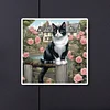 Diamond Painting-DIY Full Round Drill Country Cat