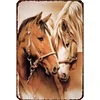 Couple Horse - Vintage Metal Signs - 30*40cm - Western