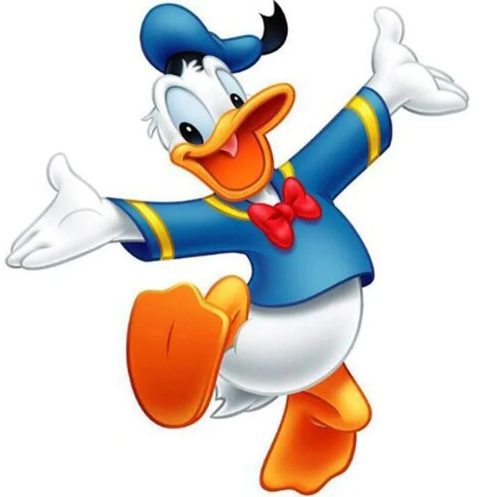 Donald Duck Paint by Numbers Kits QM3199