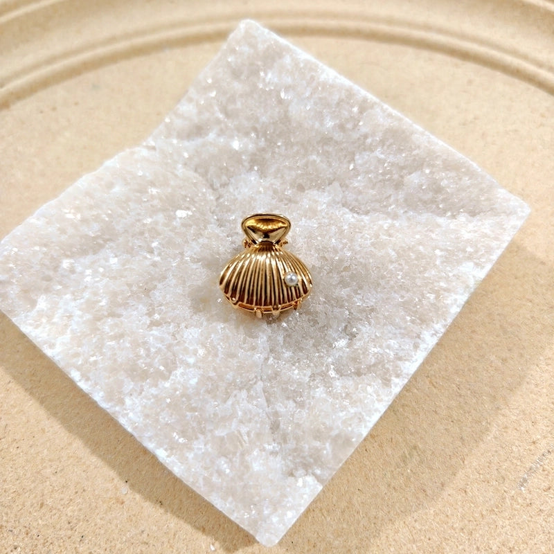 Women’s Minimalist Classic Style Solid Color Alloy Plating Hair Claws