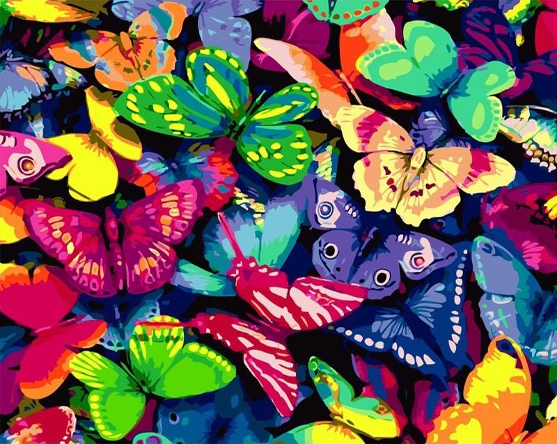 

Butterflies and Colors – Paint By Numbers - 40*50CM, 501 Original