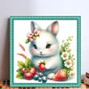 Cute Rabbit-18CT Stamped Cross Stitch 20*20cm/7.87*7.87in