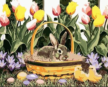 

Bunny in a Basket – Paint By Numbers - 40*50CM, 501 Original