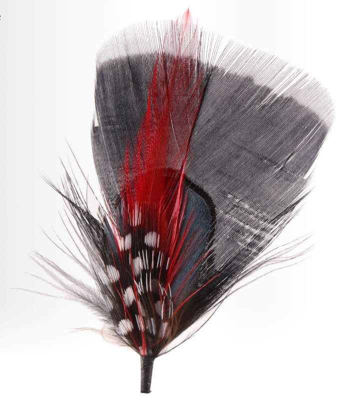 Hat Feather one H