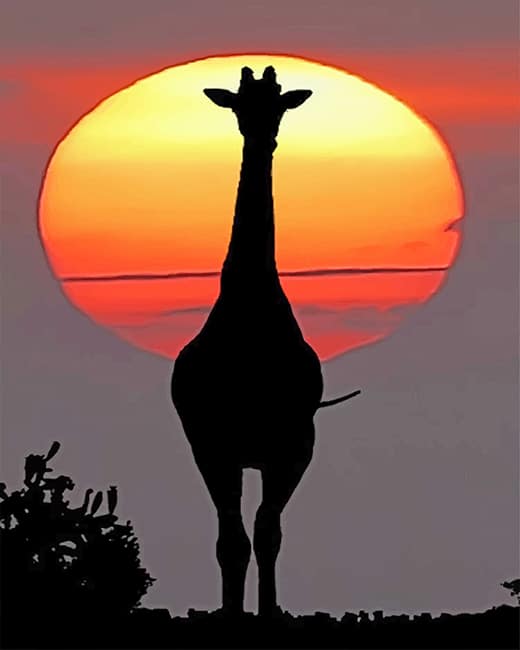 

Sunset Giraffe Silhouette – Paint By Numbers - 40*50CM, 501 Original