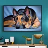 Lying Dog 5D DIY Diamond Painting Kits Full Square Drill Mosaic (30x40cm)