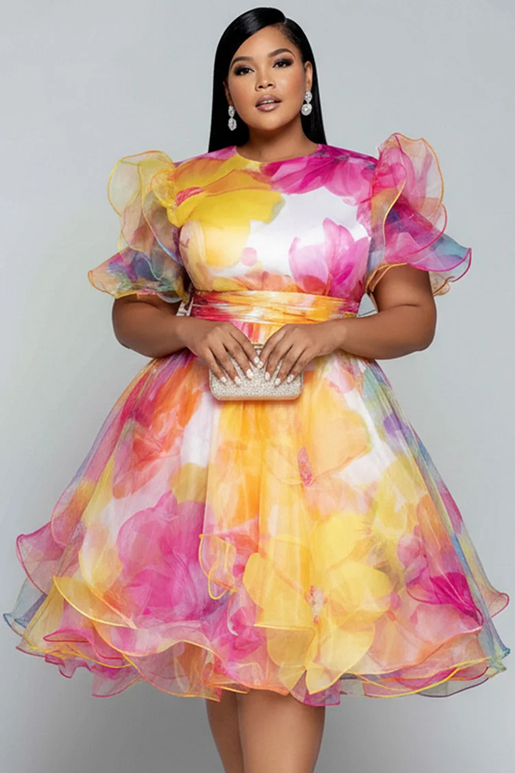 Xpluswear Design Plus Size Party Multicolor Floral Round Neck Short Sleeve Ruffle See Through Chiffon Mini Dresses [Pre-Order] 2024 - Xpluswear