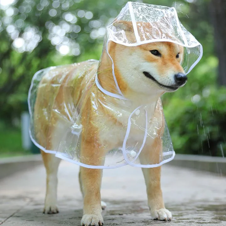Clear Plastic Dog Raincoat with Hood