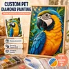 Custom Pet Diamond Painting Kit &ndash; Personalized 5D Art from Your Photo