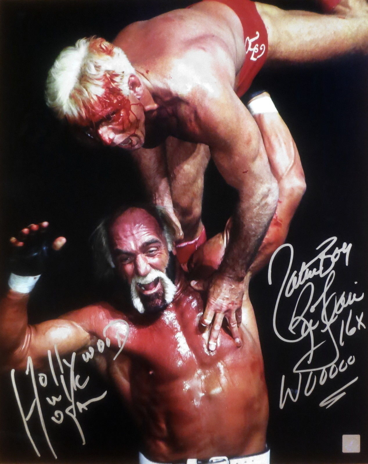 Hollywood Hulk Hogan & Nature Boy