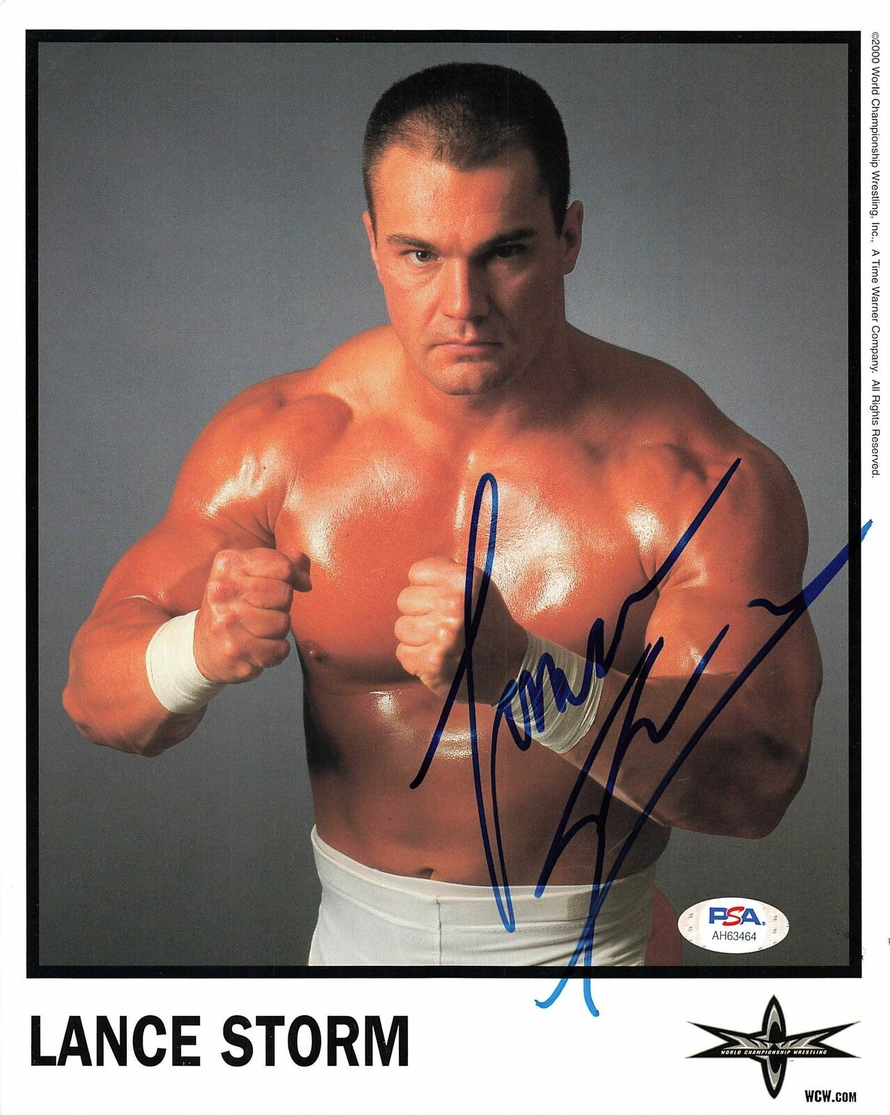 Lance Storm signed 8x10 Photo Poster painting PSA/DNA COA WWE Autographed Wrestling