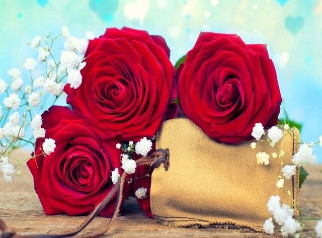 

Red Roses – Paint By Numbers - 40*50CM, 501 Original