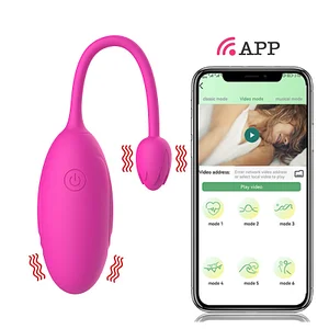 Long-Distance App Remote Control Double-Head Rose Egg Vibrator for Couples