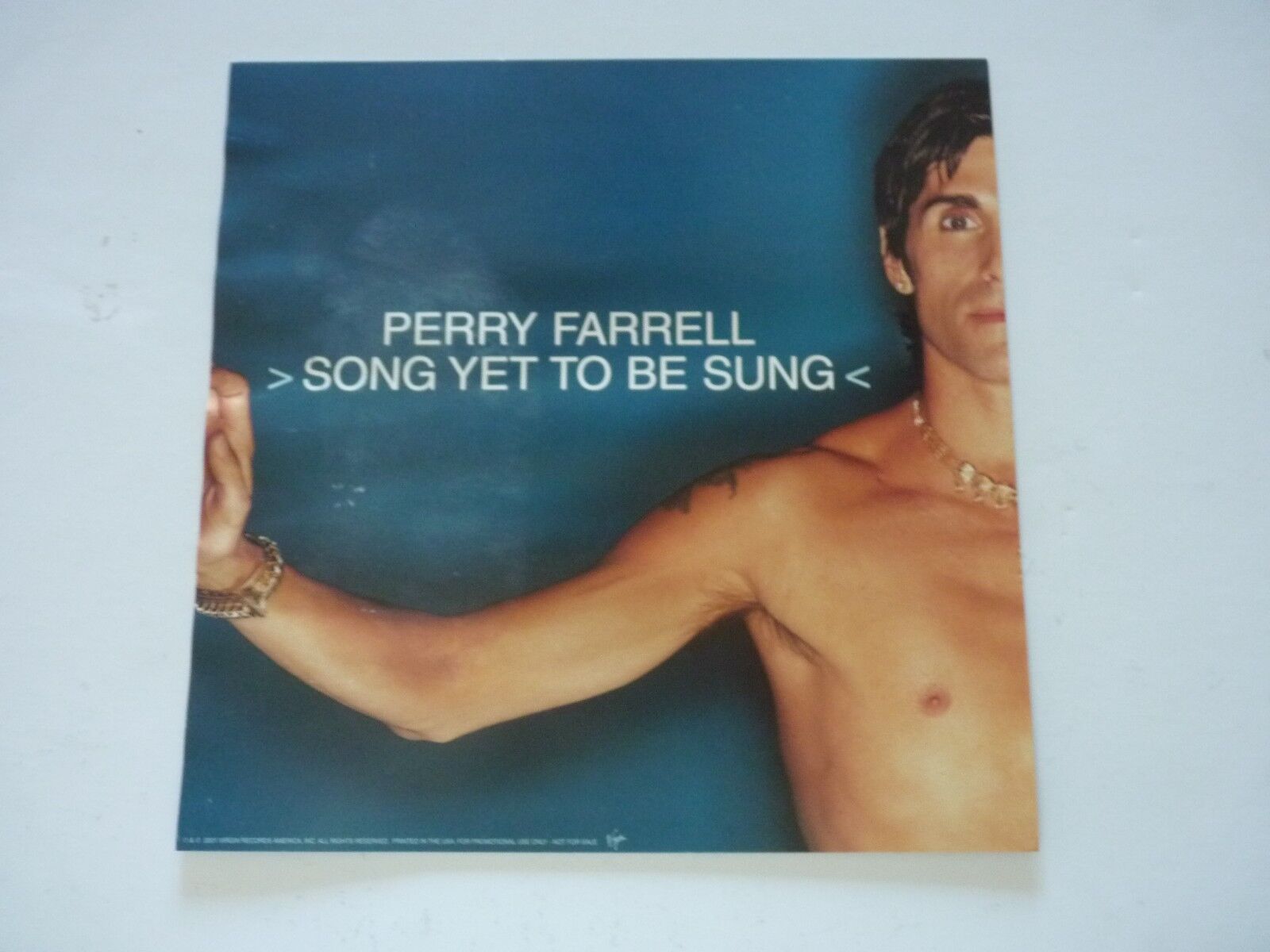 Perry Ferrell Song Yet to Be Sung 2001 LP Record Photo Poster painting Flat 12x12 Poster