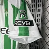 24/25 Real Betis Soccer Jersey Home With Sponsor (GREE)