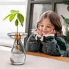 Avocado Seed Starter Vase Transparent Glass Avocado Tree Flower Vase for Balcony