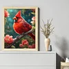 Cardinal-11CT Stamped Cross Stitch 40*50cm/15.75*19.69in