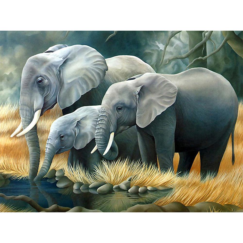 

Elephant - Square Drill Diamond Painting - 50*40CM, 501 Original