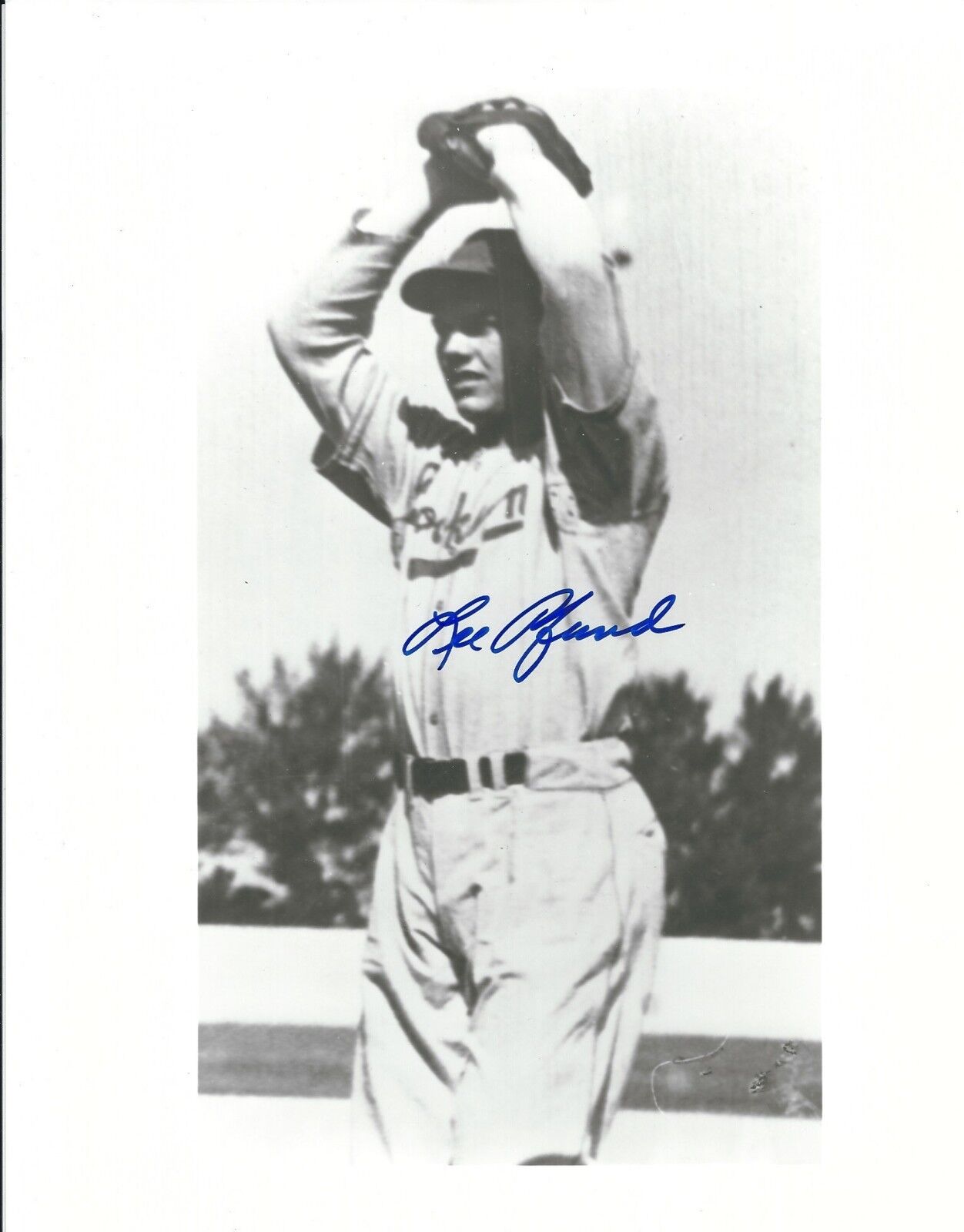 Autographed 8x10 LEE PFUND Brooklyn Dodgers Photo Poster painting - COA