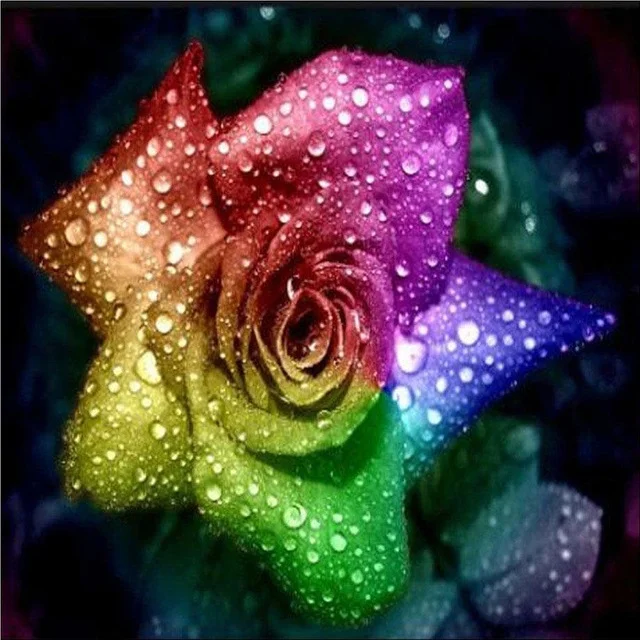 Diamond Painting - Full Round/Square Drill - Colorful Rose(30*30 - 50*50cm)