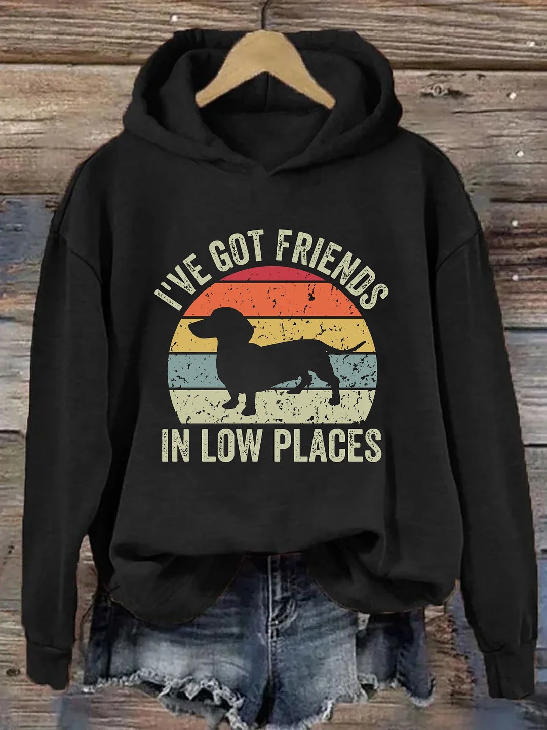 I've Got Friends In Low Places Hoodie