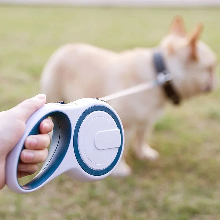 Dog Leash, 8m Retractable Dog Leash, Walking Training Leash