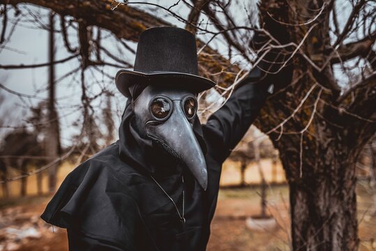 Plague Doctor Images – Browse 7,926 Stock Photos, Vectors, and Video |  Adobe Stock