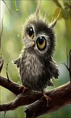 Owl  | Full Round Diamond Painting Kits