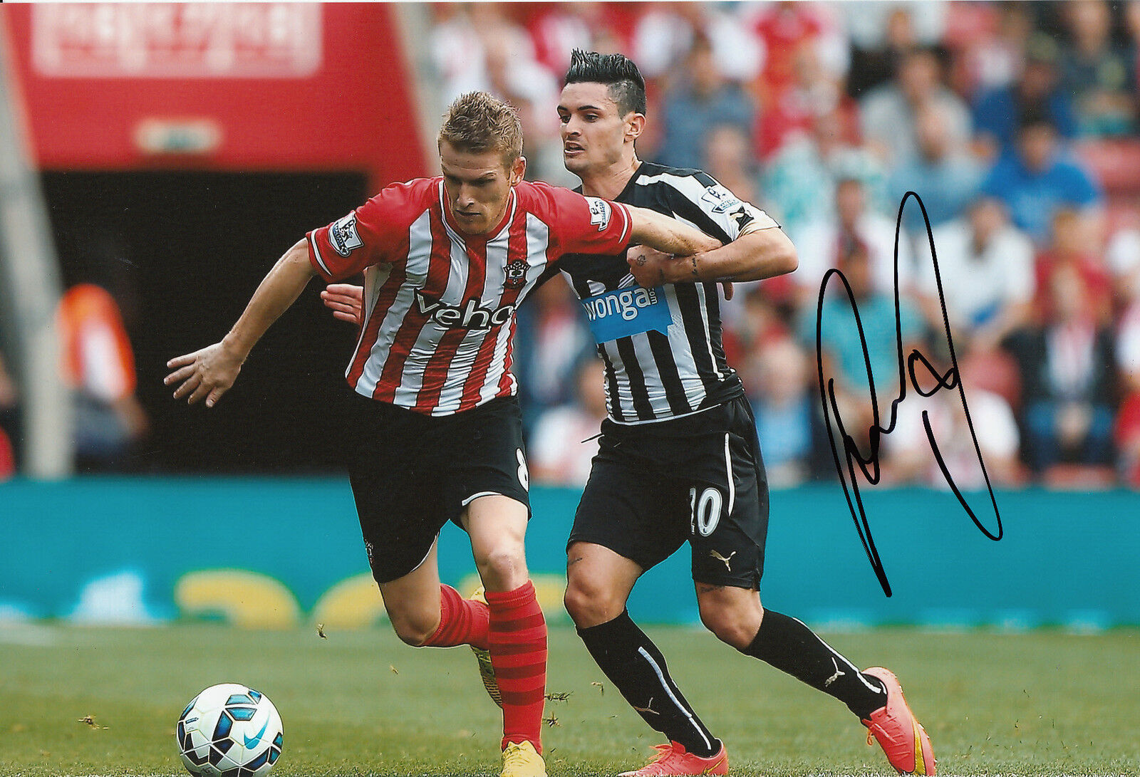 SOUTHAMPTON HAND SIGNED STEVEN DAVIS 12X8 Photo Poster painting.