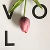 Single Head Mini Tulip PU Texture Artificial Flower 