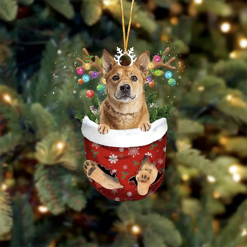 Carolina Dog In Snow Pocket Christmas Ornament.