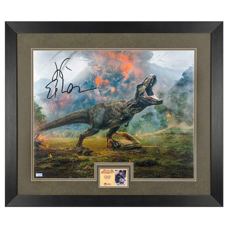 Jeff Goldblum Autographed Jurassic Park T-Rex 16x20 Framed Photo Poster painting