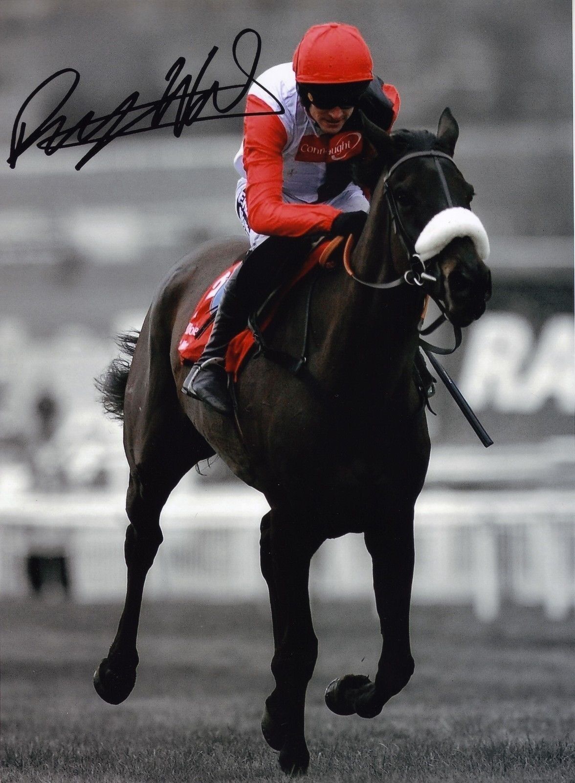 RUBY WALSH - BIG BUCKS AUTOGRAPH SIGNED PP Photo Poster painting POSTER