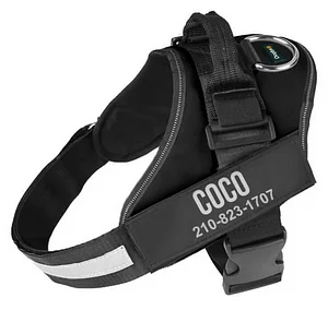 zoofari harness