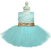 Kids Clothes Princess Girl Cute Lace Events Party Dress - honeylives