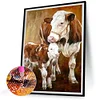 >SALE<5D DIY Full Square Drill Partial AB Drill Diamond Painting Two Cows Kit 35x45cm