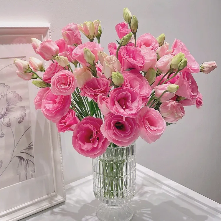 thumbnail image 2 of Lisianthus (Eustoma) Grandiflorum Rosanne 2 Green - Muller Seeds 2 of 11