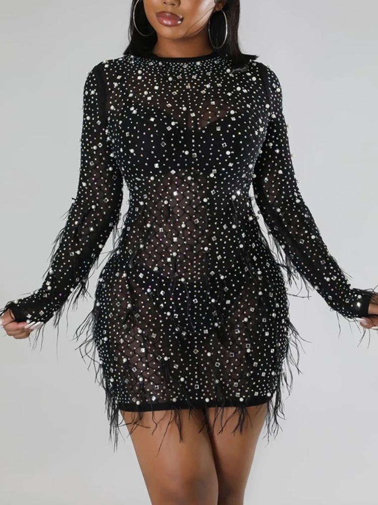Neosepa-Black Round Neck Long Sleeve Rhinestones And Feather Sheer Mesh Mini Gown