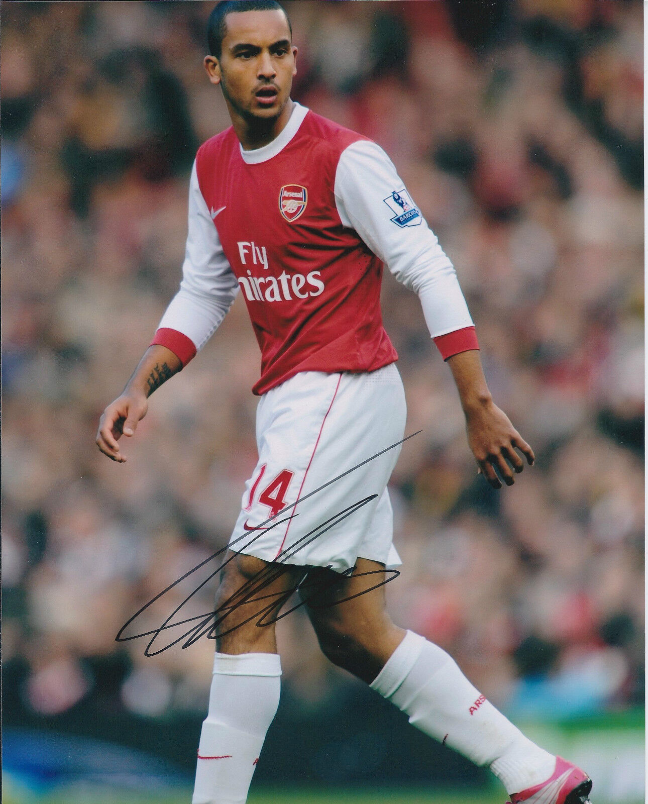 Theo WALCOTT Arsenal SIGNED Autograph 10x8 Photo Poster painting AFTAL Genuine In Person