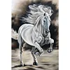 uk.everydayedeals (Limited Stock)Diamond Painting - Full Square - Horse