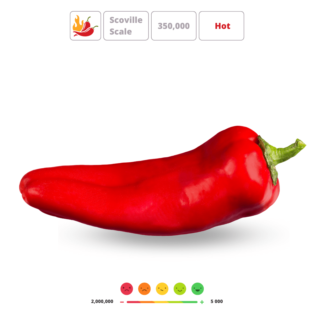 Sweet Pepper Seeds &ndash; Fiery Red, Blocky French Variety