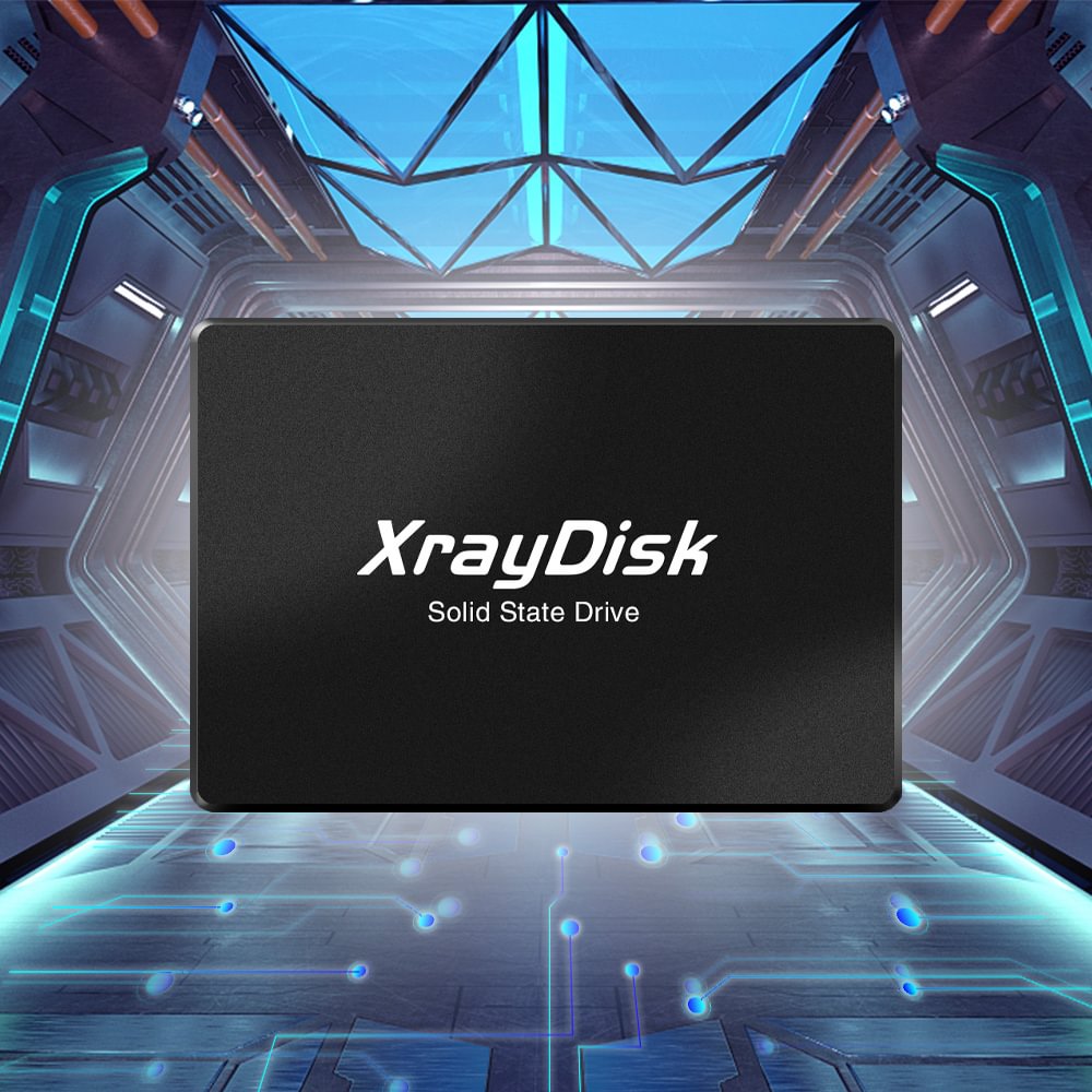 Xraydisk Ssd Review
