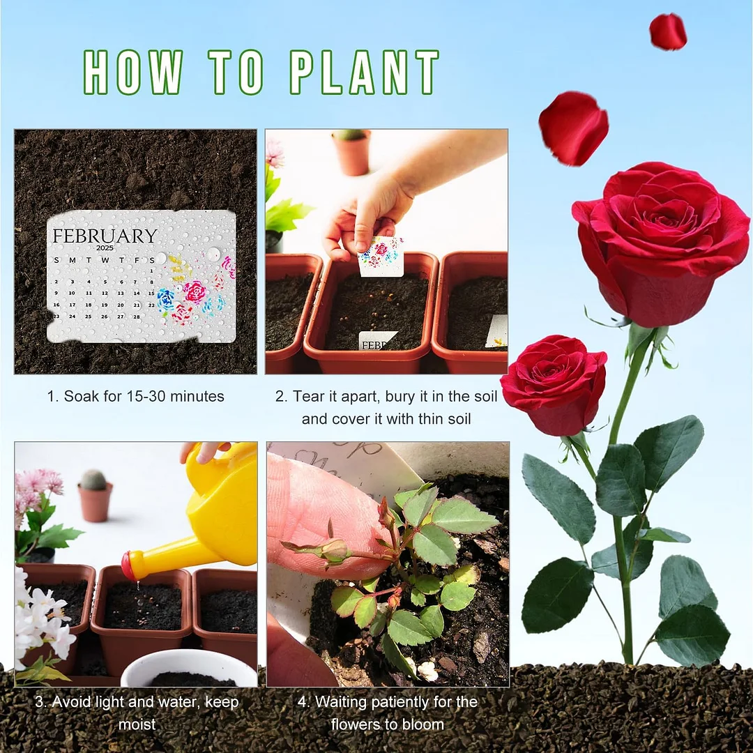 🌱2025 Eco-Friendly Plantable Seed Calendar🗓️