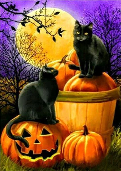Paint by Numbers Kits Halloween Cat DM3470