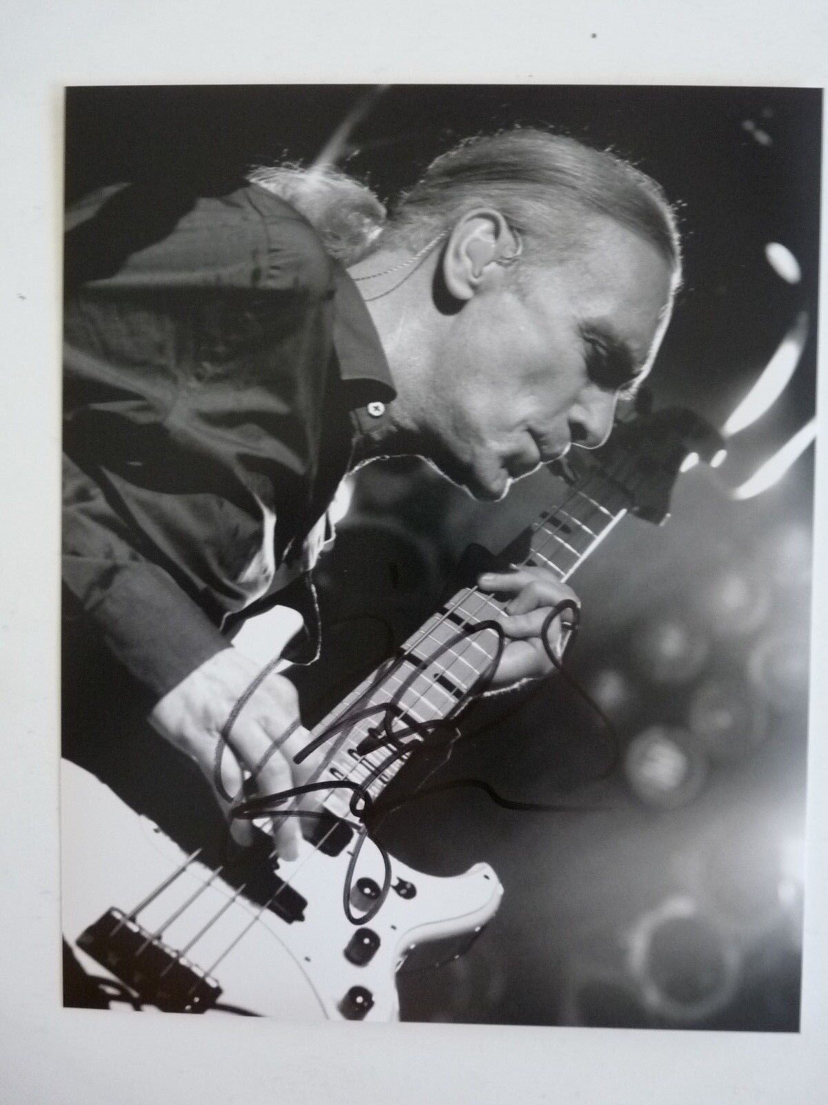 Billy Sheehan Mr Big DLR Roth Autographed Signed 8x10 Photo Poster painting PSA Guaranteed #4