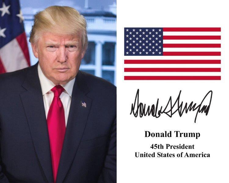 DONALD TRUMP President American Flag 8 x 10 Photo Poster painting Print Poster USA